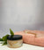 Sea Moss Gel